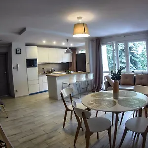 Antek , Kraków Polska